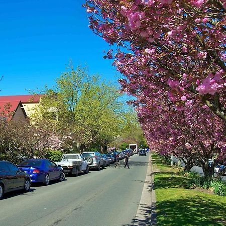 Lavender Cottage Leura Εξωτερικό φωτογραφία